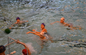 51058db259a88_DSC_0995s.jpg