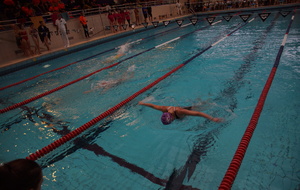 5dd314c5d76b9_DSC09242.jpg